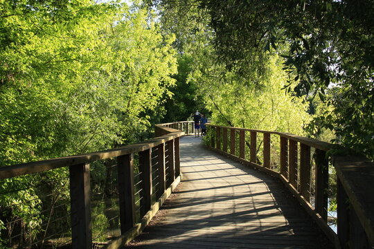 Percorso pedonabile sul fiume Sile a Casier di Treviso, un oasi di bellezza unica. Camminando sulla sponda del fiume Sile si incontra il cimitero dei burci abbandonati. 