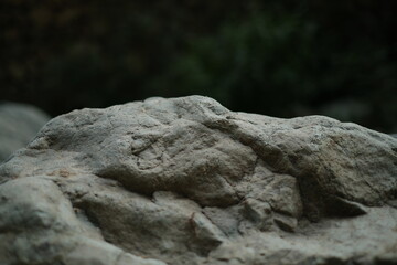 close up of a rock high depth of field