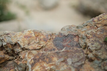 close up of a rock high depth of field DOF