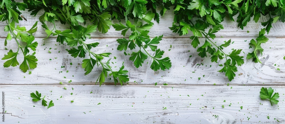 Poster top view of fresh parsley leaves arranged on a white wooden table, creating a visually appealing cop