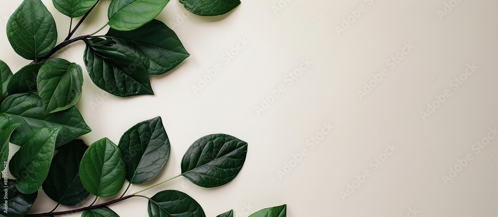 Poster green leafy branch on neutral backdrop, featuring a minimalistic design with flat lay presentation a