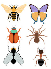 flat style insects wildlife animals vector illustration isolated on white background