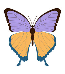 flat style insects wildlife animals vector illustration isolated on white background