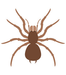 flat style insects wildlife animals vector illustration isolated on white background