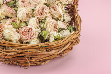 Creative composition with dry delicate roses in homemade wicker basket. Greeting card, pastel pink background