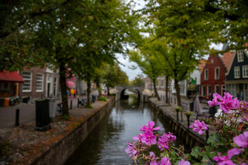 Fototapeta premium Amsterdam 