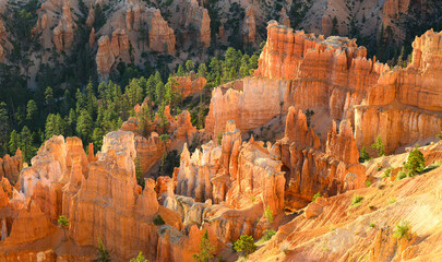 Hoodoos in early morning golden light at Bryce Canyon National Park Utah