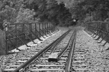 Bieszczady Narrow Gauge Railway (Bieszczadzka Kolejka Leśna) tracks  on the bridge in Cisna, photo...