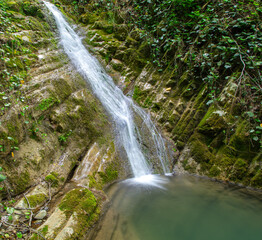 Waterfall on the river in nature in summer
