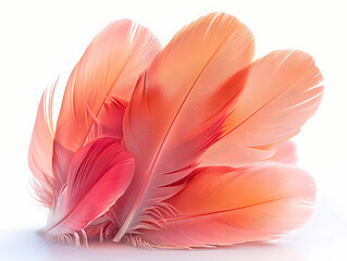 Naklejka premium pink feather