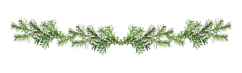 Christmas garland made of conifer branches. Green yew branches isolated on a white background. Design element for creating holiday compositions, collages, cards, invitations, patterns.