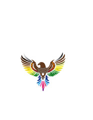 Obraz premium Eagle art/ Colourful eagle/ Creative art of birds/ Tatto of eagle/ Eagle icon/ Creative art of eagle/ Logo of eagle/