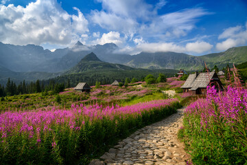 Beautiful summer in the mountains - Hala Gasienicowa in Poland - Tatras