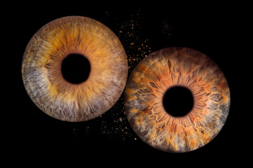 iris beauté yeux photo des yeux photos d'iris 