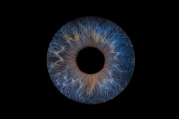 photo d'iris yeux