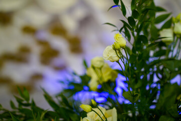 floral arrangement within an event. detail.