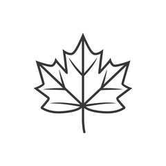 Fototapeta premium maple leaf in minimalist line art icon logo symbol