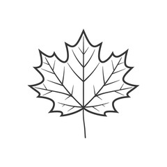 maple leaf in minimalist line art icon logo symbol