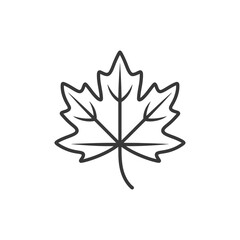 maple leaf in minimalist line art icon logo symbol