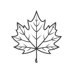 maple leaf in minimalist line art icon logo symbol