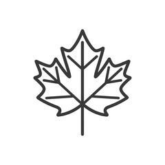 maple leaf in minimalist line art icon logo symbol
