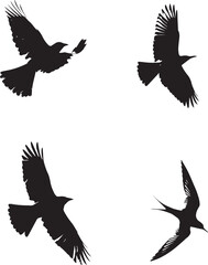 Bird set icons logo type silhouette