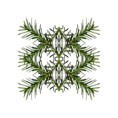 Abstract geometric composition of coniferous branches. Christmas symmetrical geometric pattern. ...