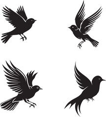 Obraz premium Bird set icons logo type silhouette