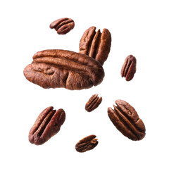 Pecan nuts in air on white background