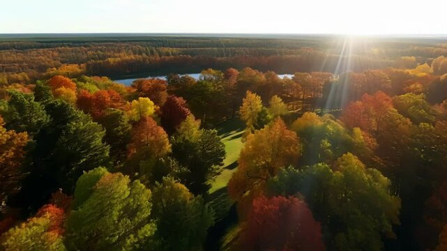 A peaceful and serene aerial view of the autumn canopy providing a refreshing escape from the hustle and bustle of daily life.