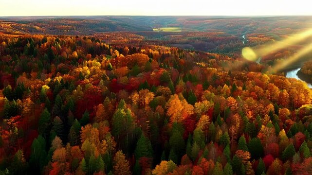 Colorful canopy of fall trees adorning the rolling hills like a patchwork quilt as seen from above.