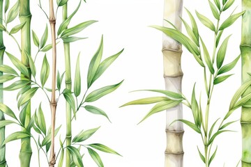 Fototapeta premium Bamboo illustrated with graceful watercolor stalks isolate on white background