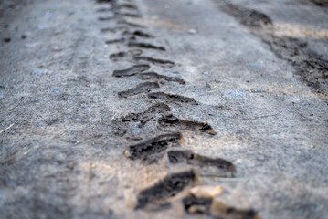 Photo of tractor wheel tracks on soil