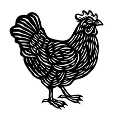 Chicken illustration in hand drawn vintage style