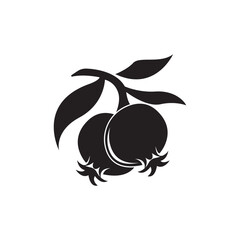 pomegranate flat style vector icon