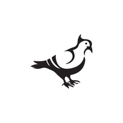 pigeon vector logo vector template