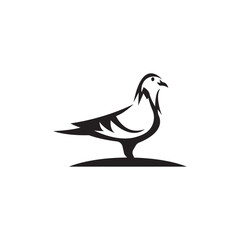 pigeon vector logo vector template