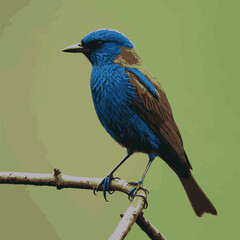 Adobe Illustrator Artwork Bird blue color