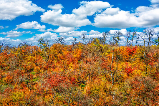 Hyrcanian Forests (Chenar Bon). The Hyrcanian forests are a zone of lush lowland and montane forests covering about 55,000 square kilometres near the shores of the Caspian Sea in Iran and Azerbaijan. 