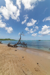 Bay view in Sainte-Anne, Martinique, France