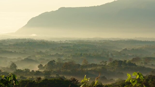 Foggy sunrise in valleys, hills, forests and mountains in the tropical forest Mexico, beutiful paceful foggy morning in nature