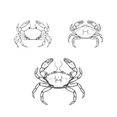 Set of hand drawn crabs outline stroke artwork black and white vector illustration head and full body