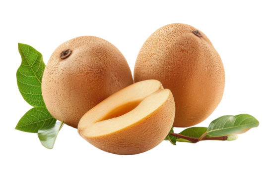 Fresh Sapodilla With Leaves