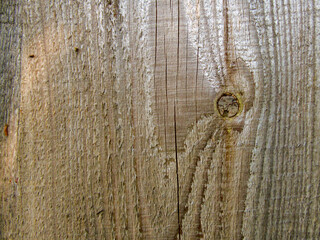 Texture  of wooden board