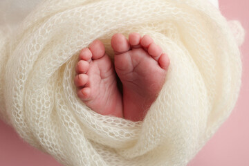 The tiny foot of a newborn. Soft feet of a newborn in a white woolen blanket, pink background. Close up of toes, heels and feet of a newborn baby. Studio Macro photography. Woman's happiness.