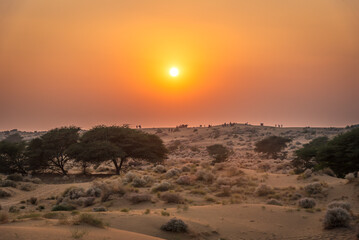 View during sunrise at great thar desert in Jaisalmer, Rajasthan, India.