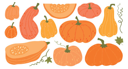 A collection of colorful pumpkins and gourds in various shapes and sizes, including whole and sliced pieces, illustrated with stems and leaves, perfect for autumn and harvest-themed designs.