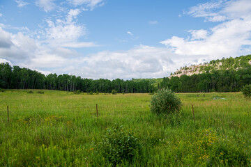 grass and blue sky
