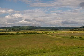 Fototapeta premium landscape with grass and blue sky