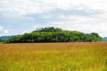 field and blue sky